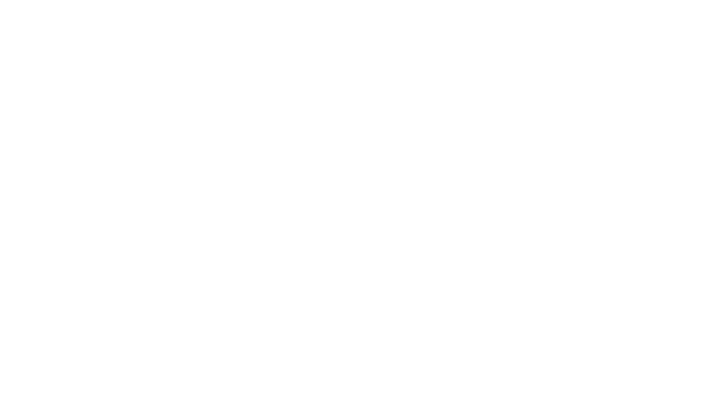 Planixs